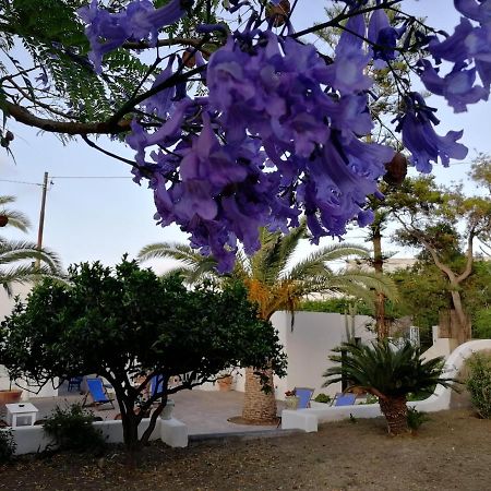 לינה וארוחת בוקר סטרומבולי Casa Carlotta מראה חיצוני תמונה