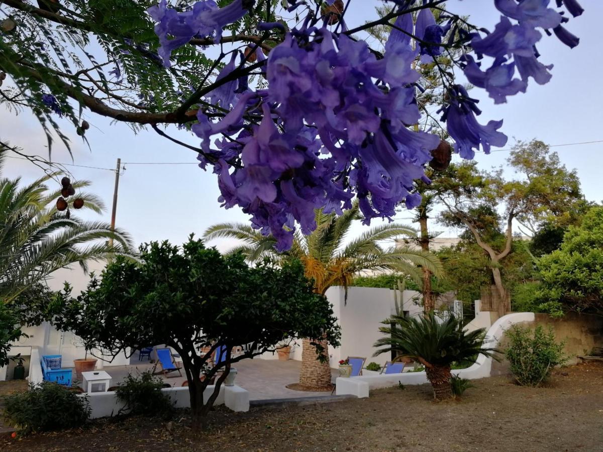לינה וארוחת בוקר סטרומבולי Casa Carlotta מראה חיצוני תמונה